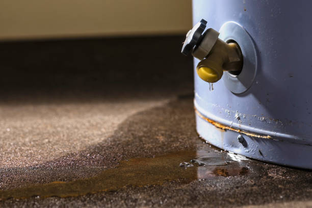 Professional Water damage restoration in Lambertville, NJ