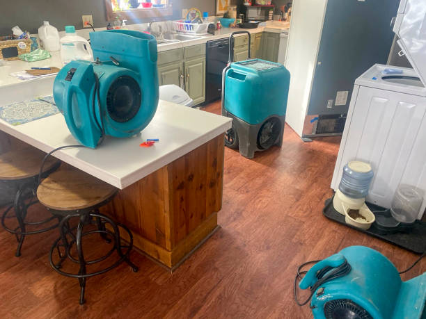 Best Water damage restoration near me  in Lambertville, NJ