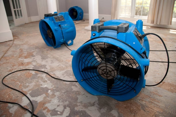Best Ceiling water damage repair  in Lambertville, NJ