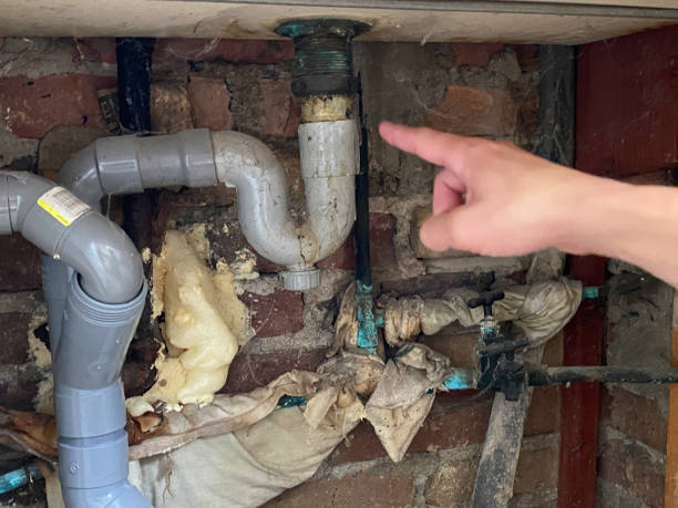 Best Basement water damage restoration  in Lambertville, NJ